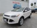 2014 White Platinum Ford Escape Titanium 2.0L EcoBoost  photo #1