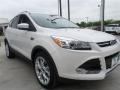 2014 White Platinum Ford Escape Titanium 2.0L EcoBoost  photo #7