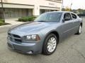 Silver Steel Metallic - Charger SE Photo No. 2
