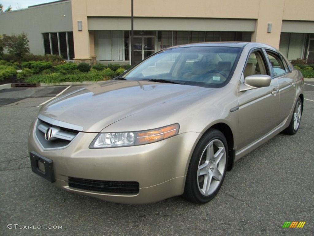 2004 TL 3.2 - Desert Mist Metallic / Parchment photo #2