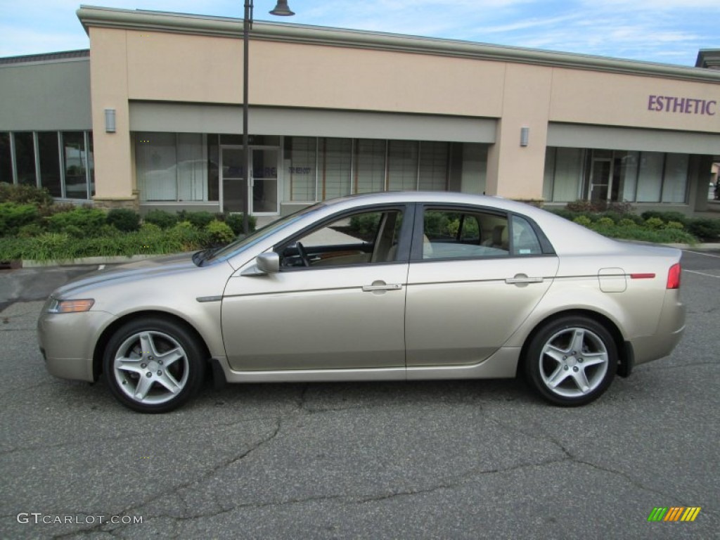 2004 TL 3.2 - Desert Mist Metallic / Parchment photo #3