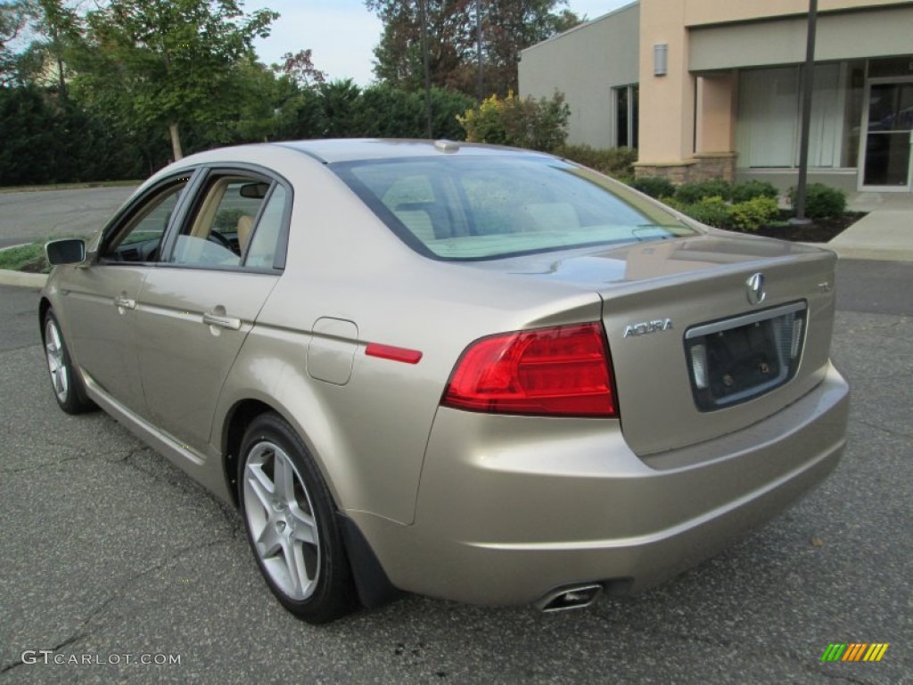 2004 TL 3.2 - Desert Mist Metallic / Parchment photo #5