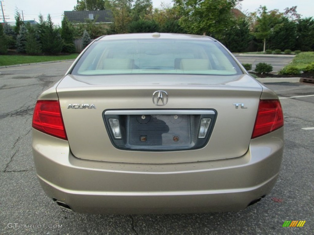 2004 TL 3.2 - Desert Mist Metallic / Parchment photo #6