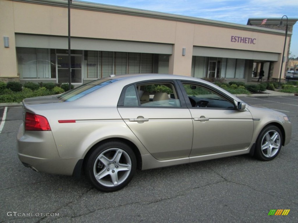 2004 TL 3.2 - Desert Mist Metallic / Parchment photo #8
