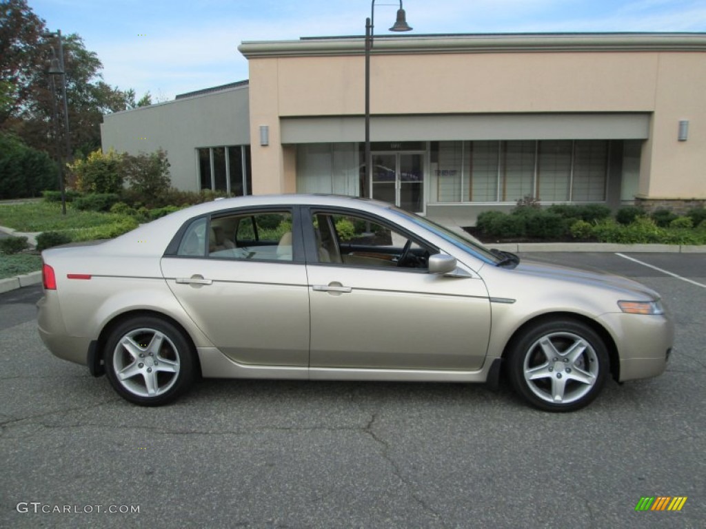 2004 TL 3.2 - Desert Mist Metallic / Parchment photo #9