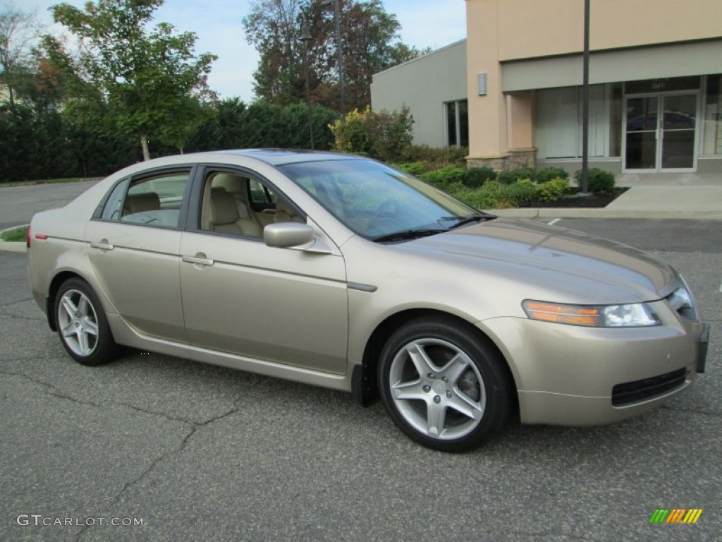 2004 TL 3.2 - Desert Mist Metallic / Parchment photo #10