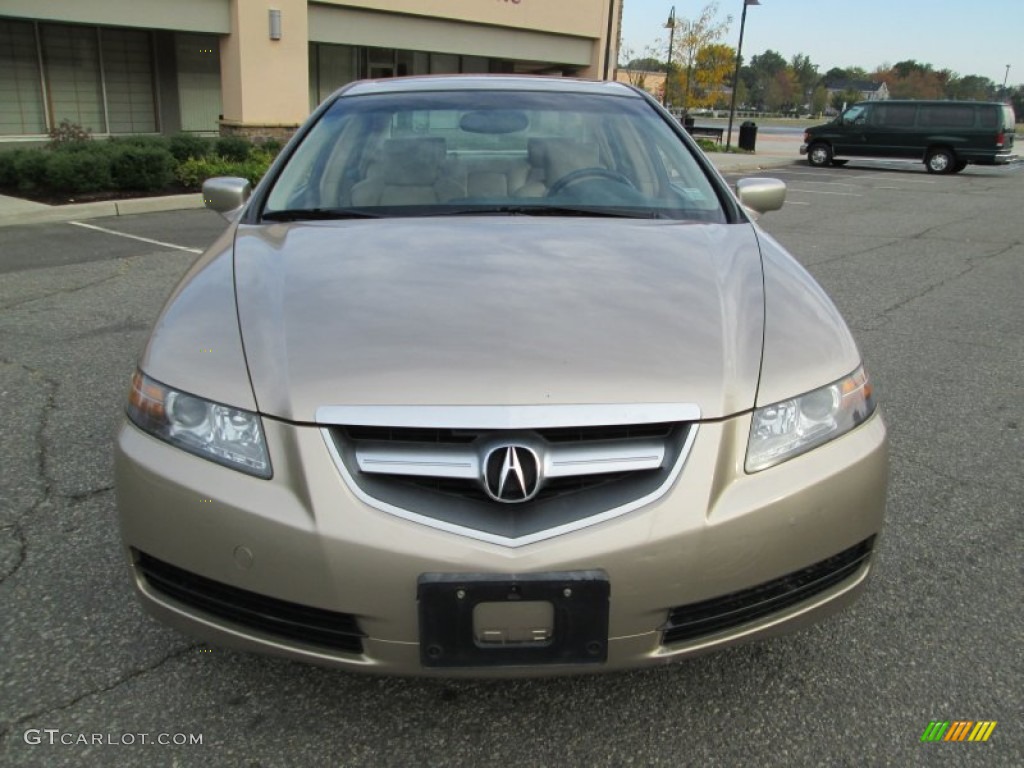 2004 TL 3.2 - Desert Mist Metallic / Parchment photo #12