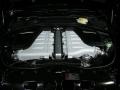 Beluga - Continental Flying Spur  Photo No. 13