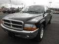 2004 Black Dodge Dakota SLT Quad Cab  photo #3