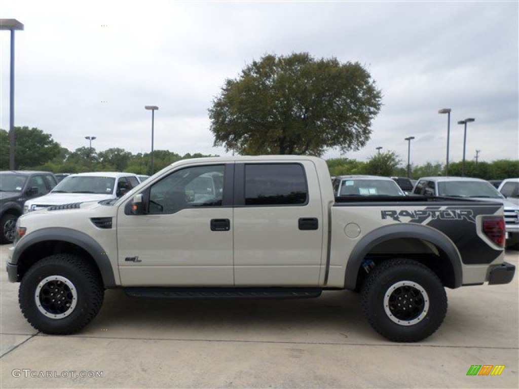 Terrain Metallic 2013 Ford F150 SVT Raptor SuperCrew 4x4 Exterior Photo #87067779