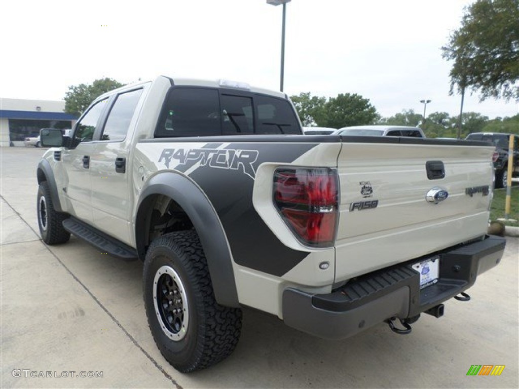 Terrain Metallic 2013 Ford F150 SVT Raptor SuperCrew 4x4 Exterior Photo #87067803