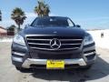 Steel Grey Metallic - ML 350 Photo No. 2