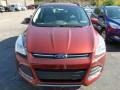 2014 Sunset Ford Escape SE 1.6L EcoBoost 4WD  photo #6