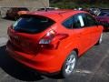 2014 Race Red Ford Focus SE Hatchback  photo #2