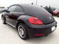 Black - Beetle 2.5L Photo No. 4
