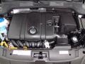 Black - Beetle 2.5L Photo No. 32