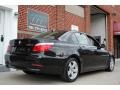 Black Sapphire Metallic - 5 Series 528xi Sedan Photo No. 12