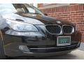 Black Sapphire Metallic - 5 Series 528xi Sedan Photo No. 19
