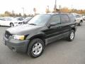 2006 Black Ford Escape XLT V6 4WD  photo #1