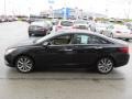 2011 Midnight Black Hyundai Sonata Limited 2.0T  photo #7