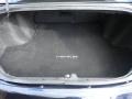 Blackberry Pearl Coat - 200 Limited Sedan Photo No. 10