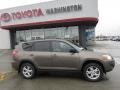 Pyrite Mica - RAV4 I4 4WD Photo No. 2