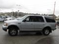 2000 Silver Metallic Ford Expedition XLT 4x4  photo #6