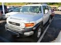 Titanium Metallic - FJ Cruiser 4WD Photo No. 4