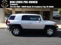 Titanium Metallic - FJ Cruiser 4WD Photo No. 1