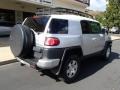 Titanium Metallic - FJ Cruiser 4WD Photo No. 8