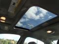 2007 Techno Gray Metallic Saturn Aura XE  photo #15