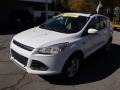 2013 White Platinum Metallic Tri-Coat Ford Escape SE 2.0L EcoBoost 4WD  photo #4