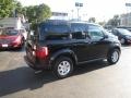 Nighthawk Black Pearl - Element EX AWD Photo No. 6