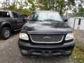 2001 Black Ford F150 XLT Regular Cab 4x4  photo #2