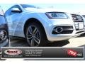 Glacier White Metallic - SQ5 Premium plus 3.0 TFSI quattro Photo No. 1