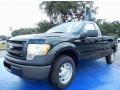 2013 Green Gem Metallic Ford F150 XL Regular Cab  photo #1