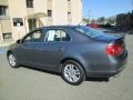 Platinum Grey Metallic - Jetta Wolfsburg Edition Sedan Photo No. 4