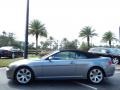 2006 Silver Grey Metallic BMW 6 Series 650i Convertible  photo #4