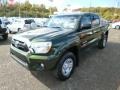 Spruce Green Mica - Tacoma V6 SR5 Double Cab 4x4 Photo No. 3