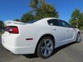 2014 Bright White Dodge Charger R/T Plus  photo #3