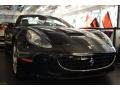 Nero (Black) - California  Photo No. 6