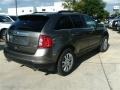 2013 Mineral Gray Metallic Ford Edge Limited AWD  photo #4