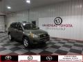 Pyrite Metallic - RAV4 I4 Photo No. 1