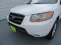 2009 Powder White Pearl Hyundai Santa Fe SE  photo #10