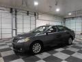Magnetic Gray Metallic - Camry XLE Photo No. 4