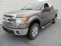 Sterling Gray Metallic - F150 XLT SuperCrew 4x4 Photo No. 7