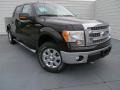 2013 Kodiak Brown Metallic Ford F150 XLT SuperCrew 4x4  photo #1