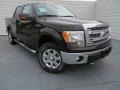 Kodiak Brown Metallic - F150 XLT SuperCrew 4x4 Photo No. 2