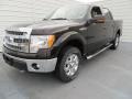 Kodiak Brown Metallic - F150 XLT SuperCrew 4x4 Photo No. 7