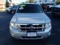 2009 Brilliant Silver Metallic Ford Escape XLT  photo #2